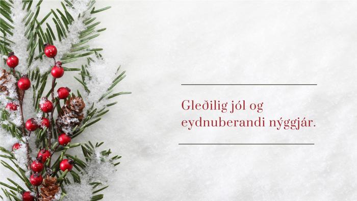Gleðilig Jól FHST