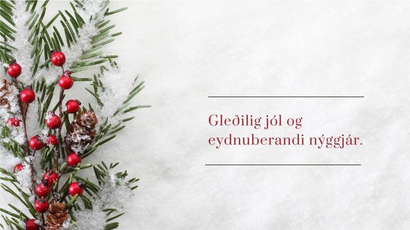 Gleðilig Jól FHST